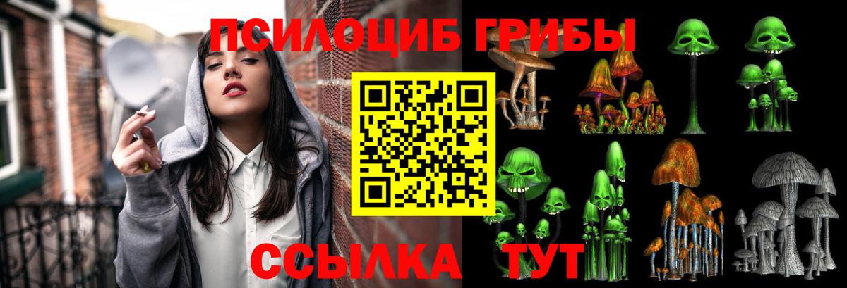 Галлюциногенные грибы мицелий  Вход с VPN  Приморско-Ахтарск 