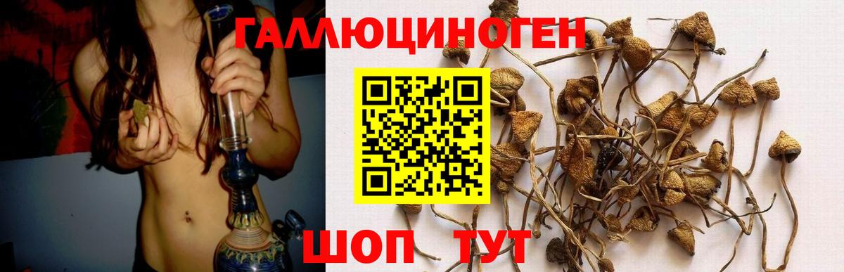 Галлюциногенные грибы мухоморы Приморско-Ахтарск